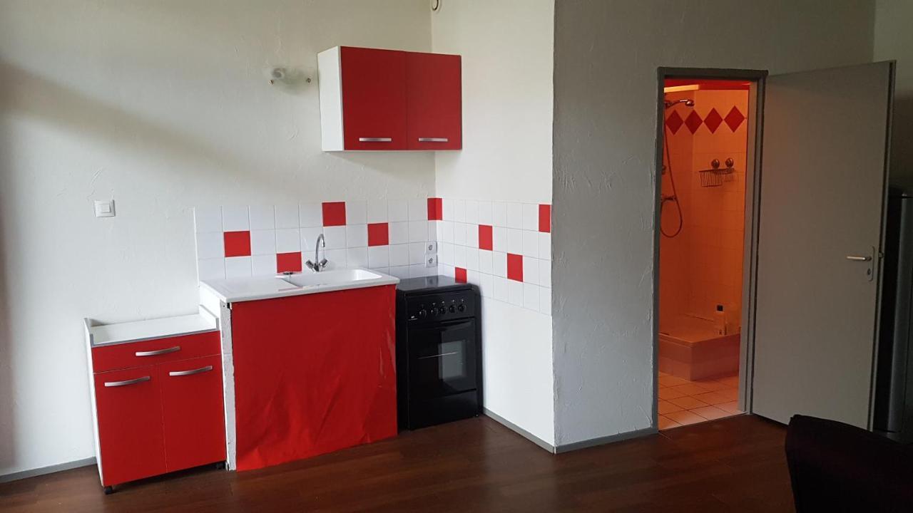 Grand Studio Et Jolies Chambres A Louer Passins Eksteriør bilde
